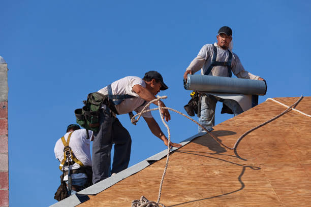 Best Roof Gutter Cleaning  in Hurleyville, NY